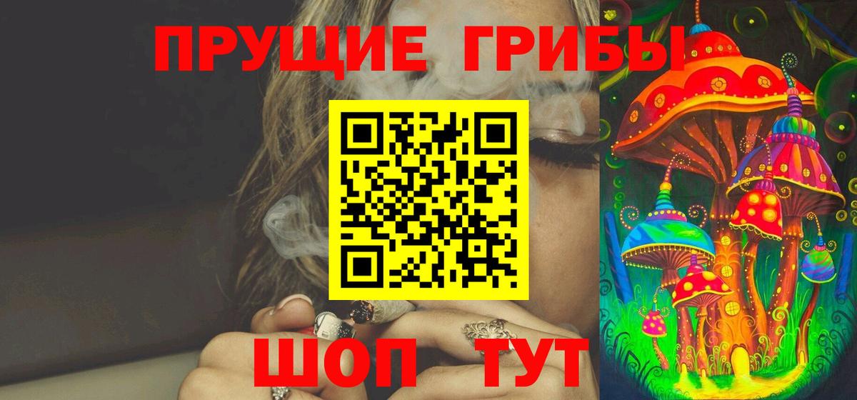 Галлюциногенные грибы MAGIC MUSHROOMS  Вход с VPN  Саров 